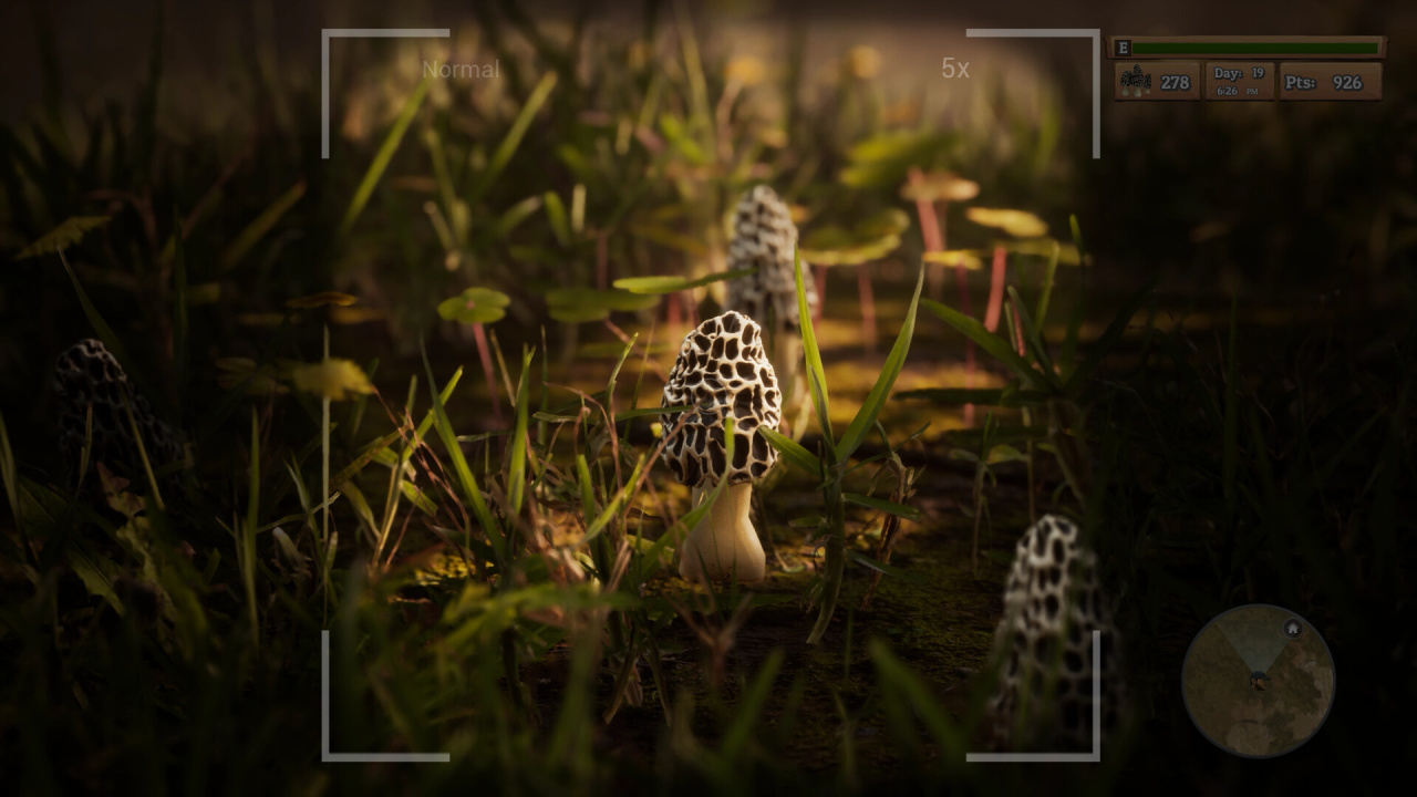Screenshot #1 - Morels: The Hunt