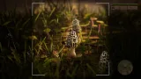 Screenshot #1 - Morels: The Hunt