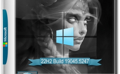 Сборка Windows 10 22H2 19045.5247 (36in1) (x64) by Izual Soft