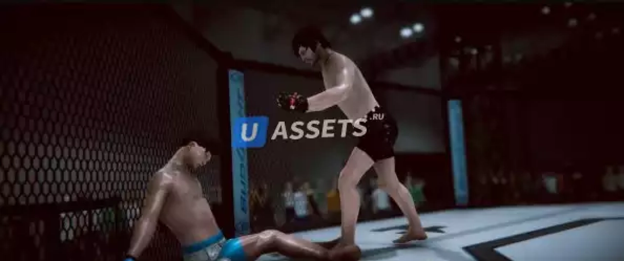 Screenshot #2 - Master Fighting System