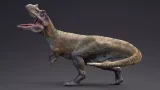 Screenshot #1 - Ceratosaurus - 82 Animations - Real Dinosaur Series