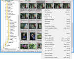 Screenshot #1 - BreezeBrowser Pro 1.12.4 + активация