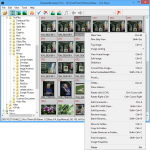 Screenshot #1 - BreezeBrowser Pro 1.12.4 + активация