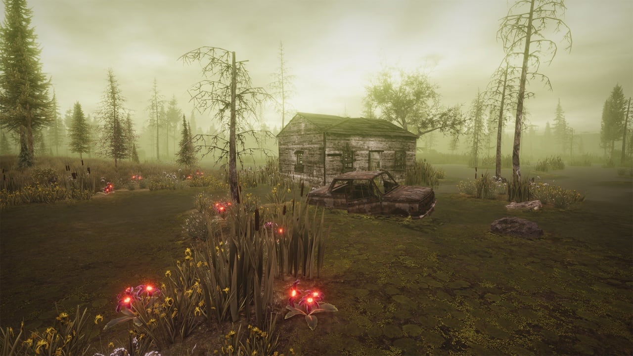 Screenshot #9 - Next Day: Survival