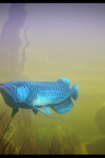 Screenshot #1 - Feed and Grow: Fish