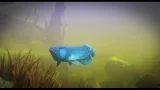 Screenshot #1 - Feed and Grow: Fish