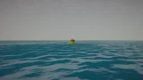 Screenshot #10 - Placid Plastic Duck Simulator