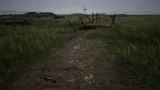 Screenshot #2 - Brushify – Natural Roads Pack for (Unreal Engine 5.5)