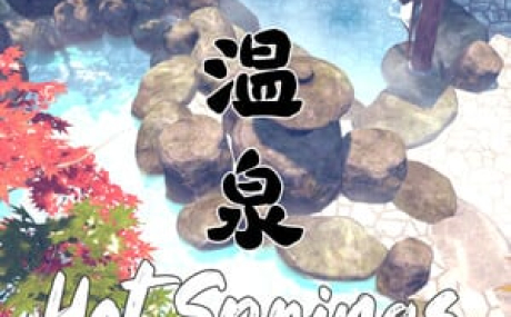 Hot Springs (Onsen)