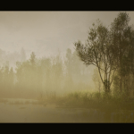 Screenshot #3 - PCG Biome: Forest Poplar (Interactive Foliage, Trees, Wind System, Nature)