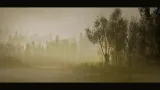 Screenshot #3 - PCG Biome: Forest Poplar (Interactive Foliage, Trees, Wind System, Nature)