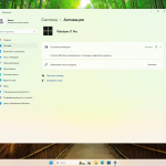 Screenshot #6 - Windows 11 Pro 23H2 Build 22631.4890 Full Февраль 2025