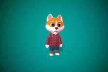 Doggy 3D Модель