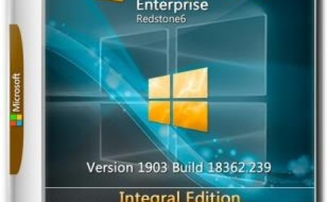 Windows 10 Enterprise (x64) 1903.18362.239 Integral Edition [v.2019.7.14] by Ramsey