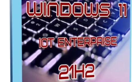 Windows 11 IoT Enterprise 22000.348 by Tatata (x64)