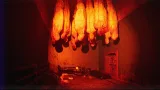 Screenshot #3 - Burial