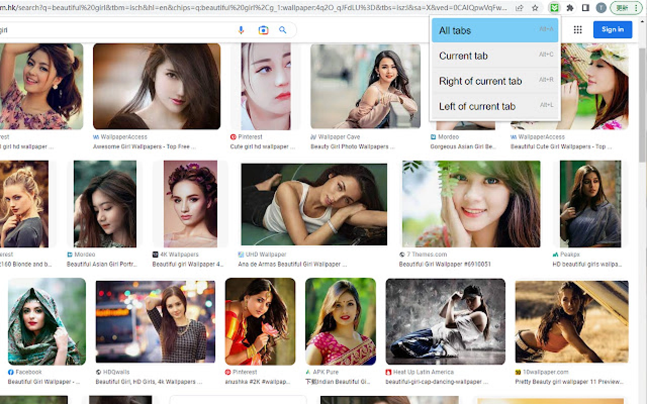 Screenshot #1 - Bulk Image Downloader 6.46 Repack