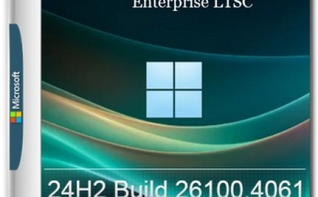 Windows 11 Enterprise LTSC 24Н2 Build 26100.4061 by ivandubskoj