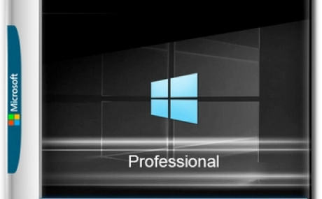 Windows 10 Pro 22H2 Build 19045.5608 Full Март 2025