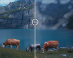 Screenshot #1 - AI Depth of Field V1.0.2 [Win][Adobe After Effects]