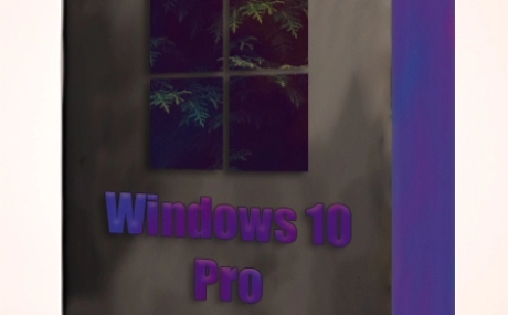 Windows 10 Pro x64 22H2 19045.2728 Optima by WebUser