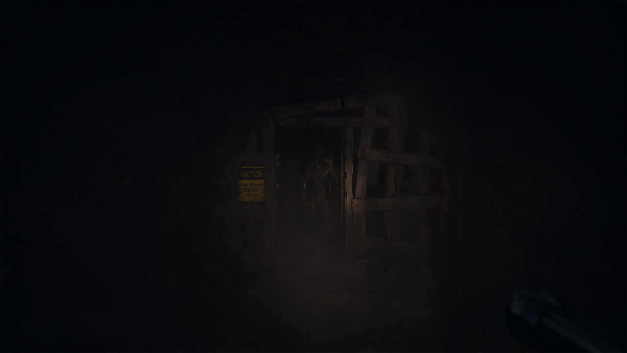 Screenshot #8 - THE DESCENT
