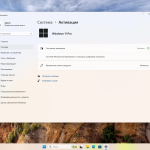 Screenshot #5 - Windows 11 Pro 24H2 Build 26100.2314 Full Ноябрь 2024