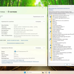 Screenshot #5 - Windows 11 Enterprise LTSC 2024 by MoverSoft 10.2024