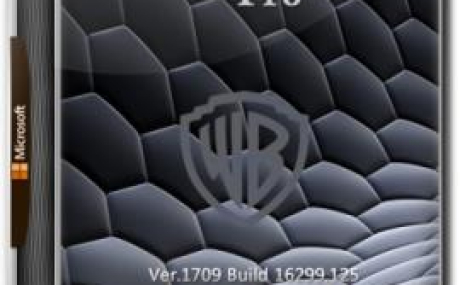 Windows 10 Pro 16299.125 x86/x64 Lite v.11.17 by naifle