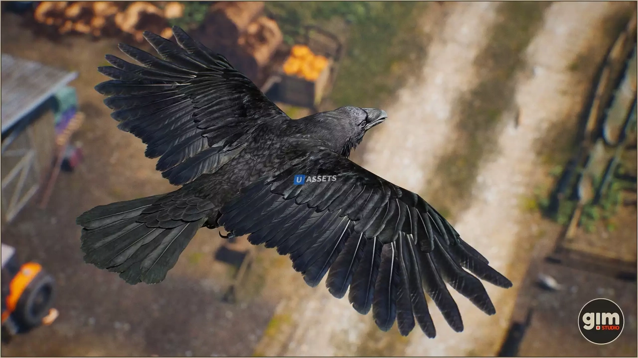 Screenshot #1 - Animalia - Raven