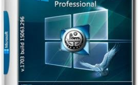 Windows 10 x64 Professional KottoSOFT
