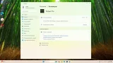 Screenshot #6 - Windows 11 Pro 24H2 Build 26100.4066 Update 2025-05-28