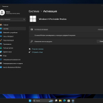 Screenshot #6 - Windows 11 Pro 23H2 Build 26016.1000 Canary