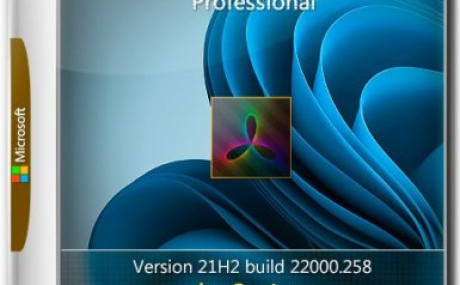 Windows 11 Pro 21H2 22000.258 x64 ru by SanLex