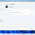 Screenshot #6 - Windows 11 Pro 23H2 Build 22631.4037 Optima