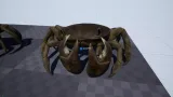 Screenshot #2 - Crab - Animated Creature