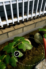 Screenshot #2 - Garden Simulator