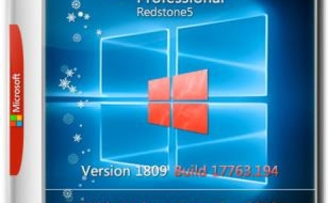 Windows 10 Pro x64 RS5 1809.17763.194 Dec2018 by TEAM OS