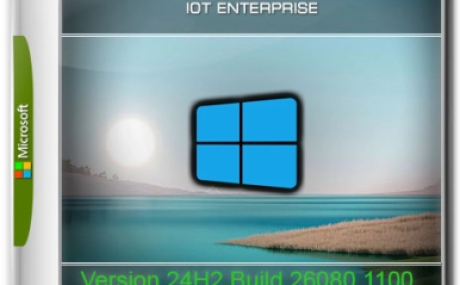 Windows 11 24H2 x64 Русская by OneSmiLe [26080.1100]