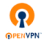 OpenVPN