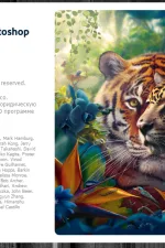 Screenshot #4 - Adobe Photoshop 2024 v25.9.1.626