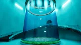 Screenshot #3 - Aquarium at August 32nd