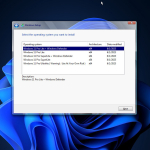 Screenshot #2 - Windows 11 Pro 22H2 22621.1778 by Ankh Tech