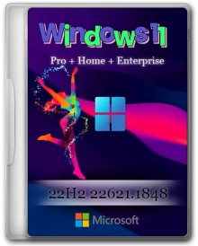Windows 11 22H2 build 22621.1848 [3in1]