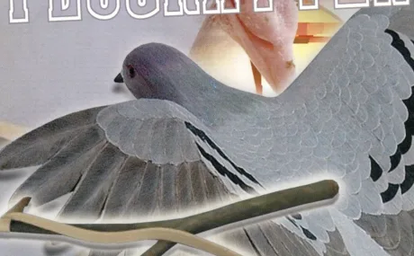 Flugratten: +3 трейнер