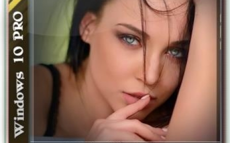 Windows 10 RS6 (1903) 10.0.18362.175 Pro RU 2019.06.18 by 113344ds