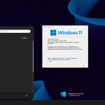 Screenshot #11 - Windows 11 Pro 23H2 Build 22631.5039 FullOS + GameOS + LiteOS by Revision