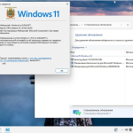 Screenshot #7 - Windows 11 Русская 26100.2033_22261_22361.4602.Mod by SURASOFT