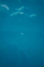 Screenshot #10 - Morels: The Hunt