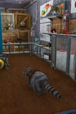 Screenshot #11 - Wanted Raccoon